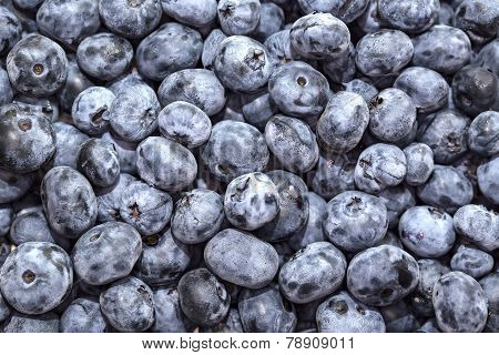 blueberry background