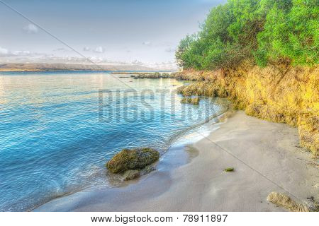 Rocks And Plants In Lazzareto Beach