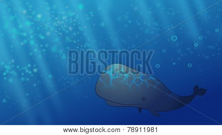 Happy Whale