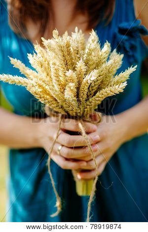 Bouquet With Spikelets Of Wheat Close Up In Mother's Hands