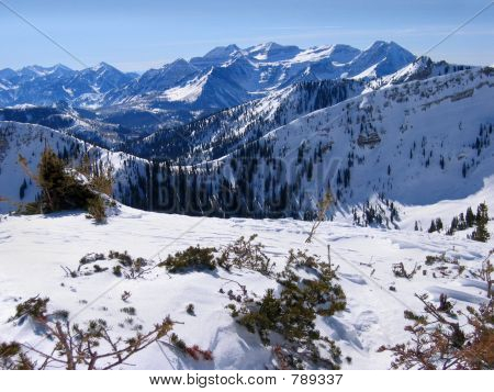 Rocky Mountain Vista
