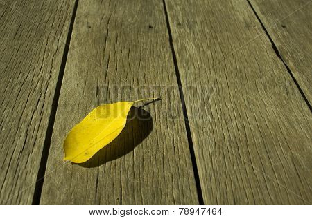 yellow leaf wood background