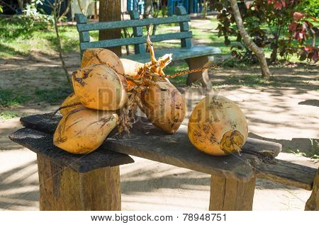 King Coconuts