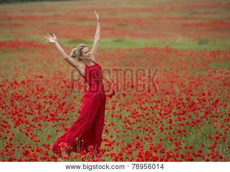 Beautiful blonde woman with red dress, in the middle of a poppy field