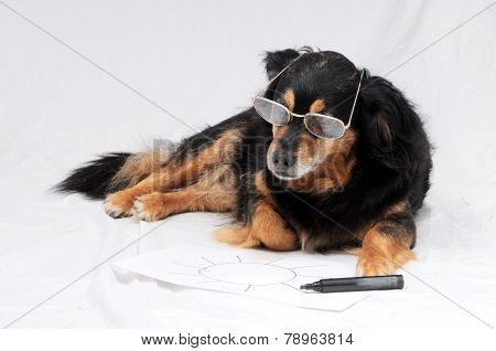 Drawing Dog