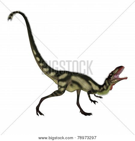 Dilong dinosaur roaring - 3D render