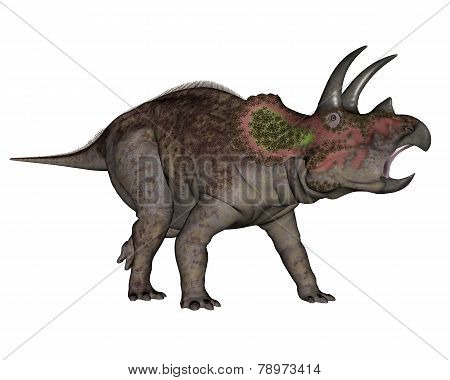 Triceratops dinosaur walking - 3D render