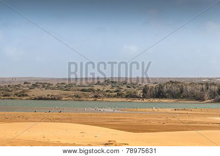 Souss Masa National Park