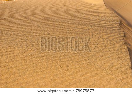 Souss Masa National Park