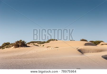 Souss Masa National Park