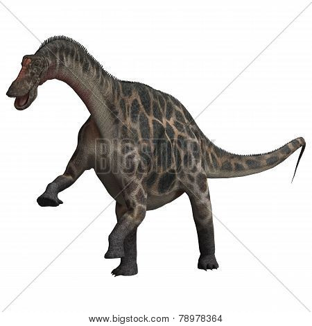 Dinosaur Dicraeosaurus