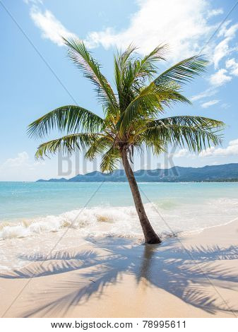 Tropical beach of Chaweng on Koh Samui island in Thailand