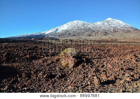 Desert Landscape in Volcan Teide National Park