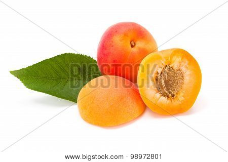 Peaches On White (prunus Persica)