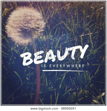 Inspirational Typographic Quote - Beauty is everywhere