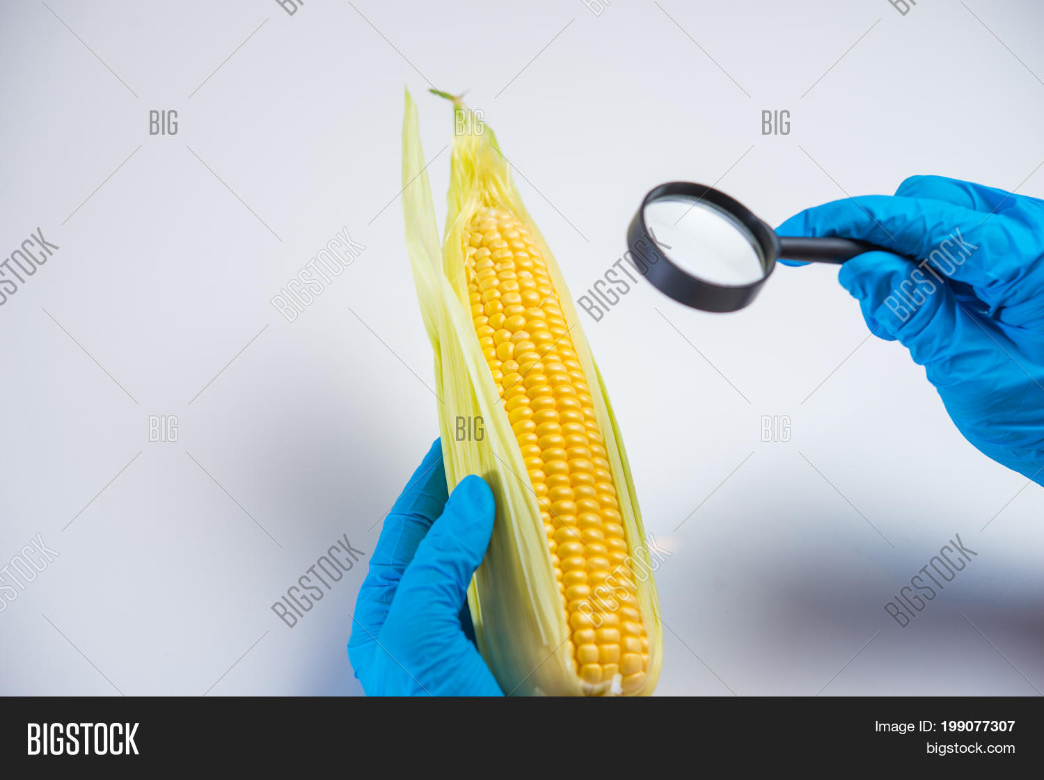 Image Preview