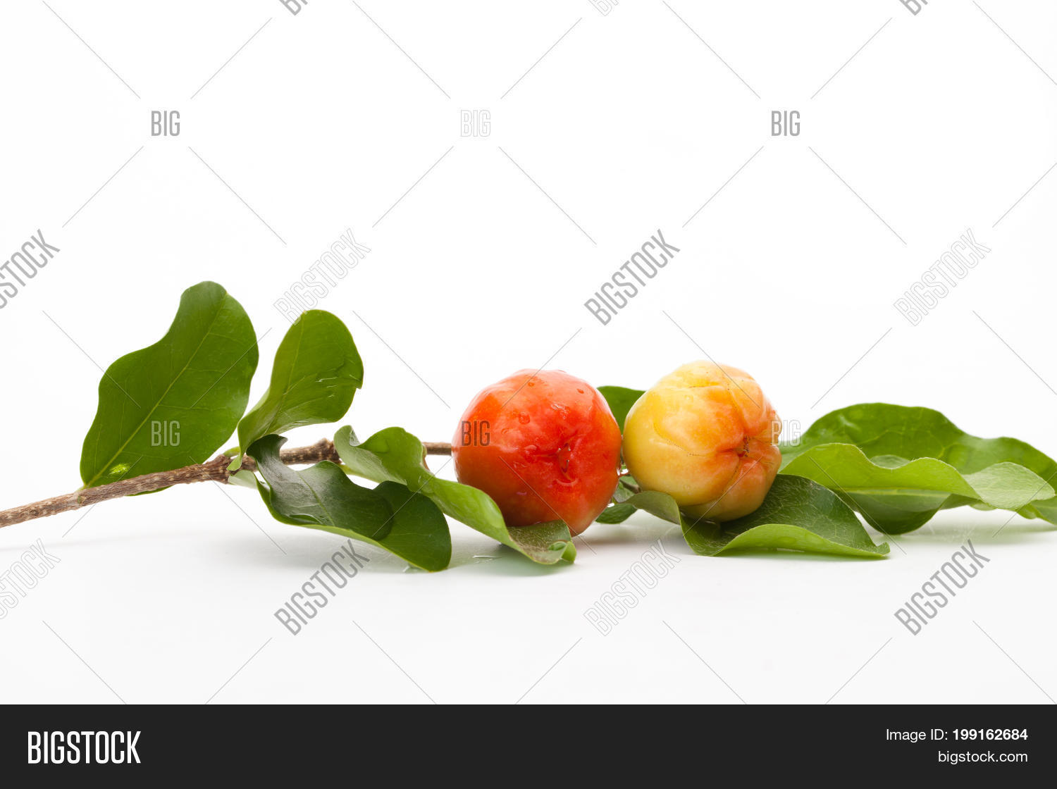 Image Preview