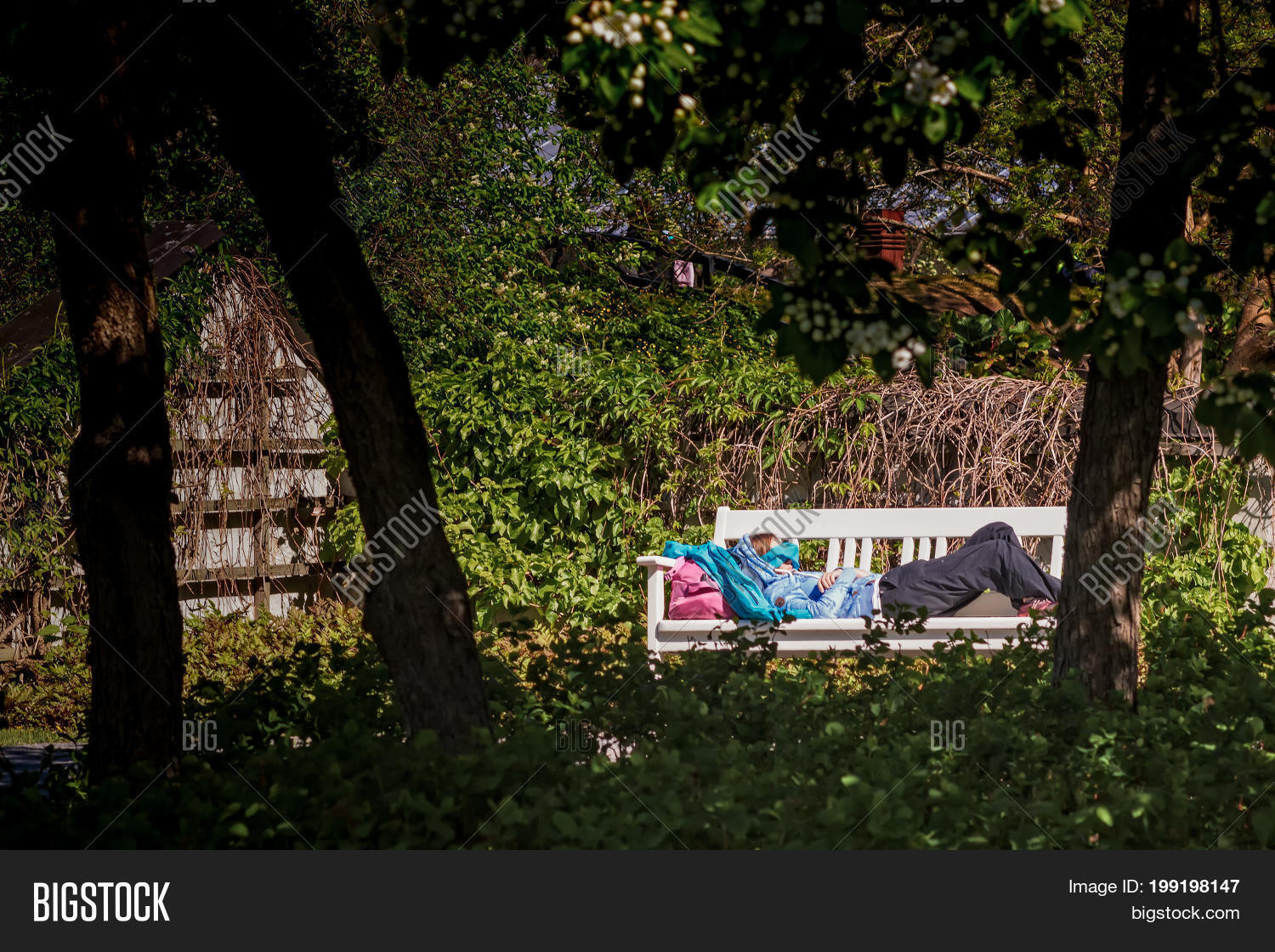 Image Preview