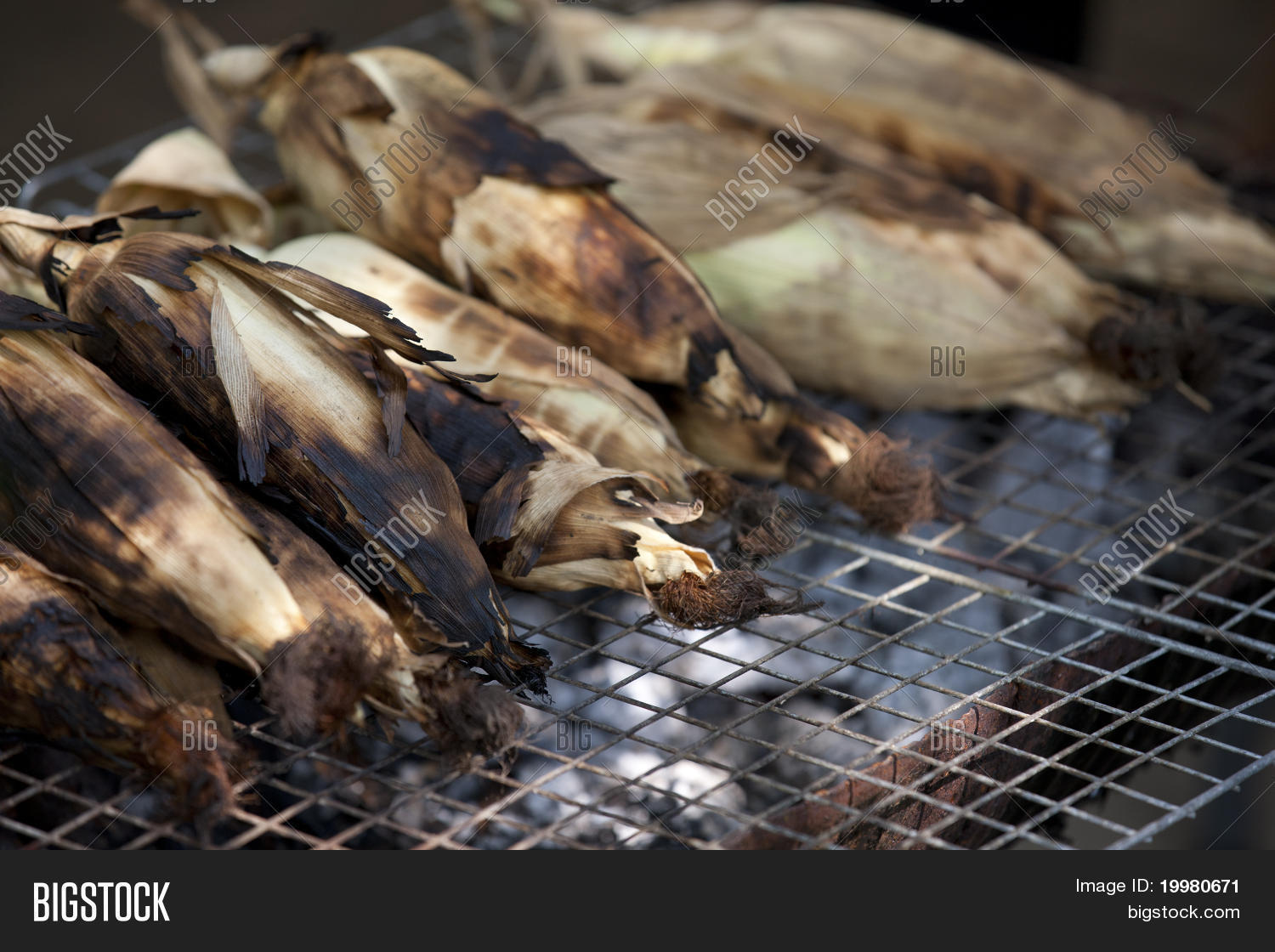 Image Preview