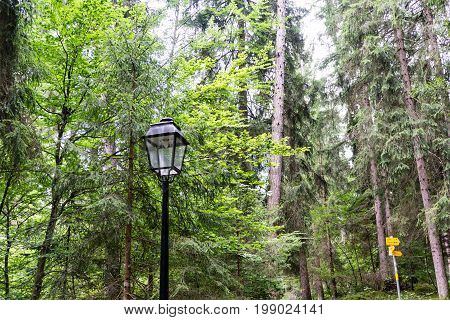 Old lantern in the forest near caumasee in flims switzerland