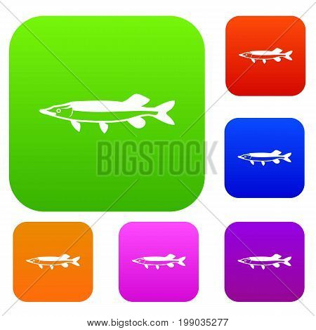 Saury set icon in different colors isolated vector illustration. Premium collection