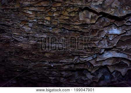 Box work formations in Wind Cave National Park South Dakota