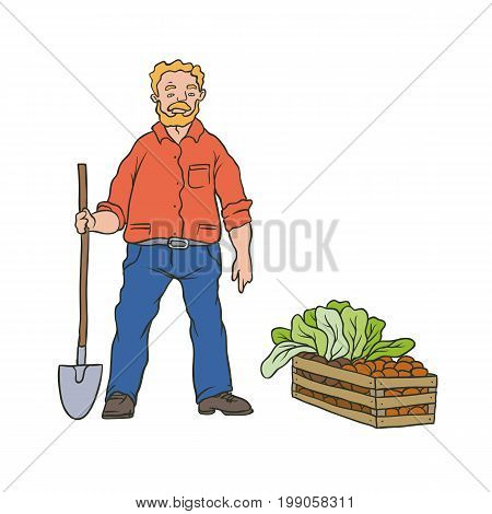 Vector sketch coloured illustration of farmer. Man worker with shovel and box vegetables. Autumn gardening harvest. Drawn contour cartoon character peasant working in garden. Isolated on white ground