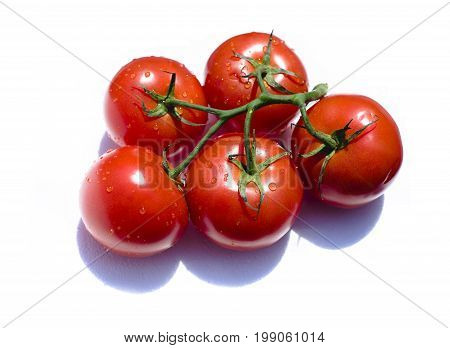 Five  tomatoes on the vine  on a white background
