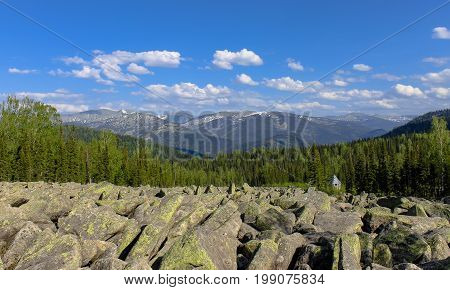 A stone river in the mountains and a thick green forest on a clear, sunny summer day