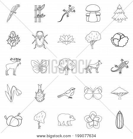 Forest animal icons set. Outline set of 25 forest animal vector icons for web isolated on white background