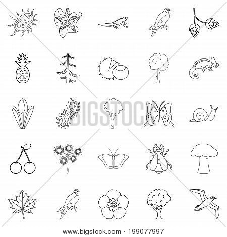 Woodland icons set. Outline set of 25 woodland vector icons for web isolated on white background