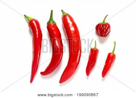 Different kind of red hot chili pepper isolated on a white background.