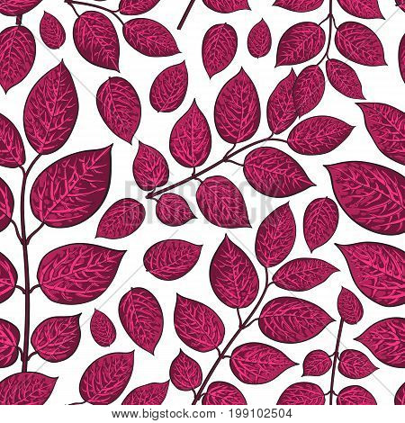 Seamless pattern of beautiful dark red birch, honeysuckle leaves, twig, branches, sketch style vector illustration on white background. Hand drawn honeysuckle twig seamless pattern
