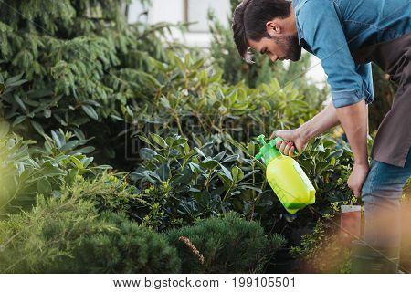 Side View Of Gardener Spraying Plants While Working In Garden