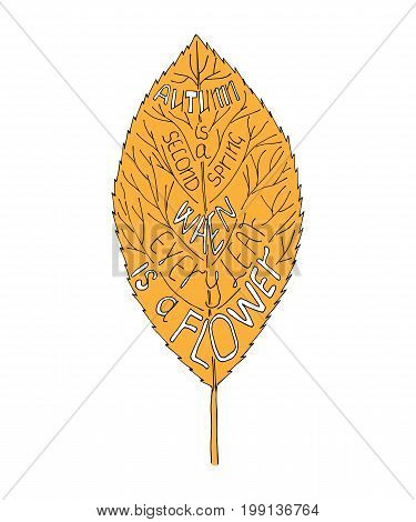 Autumn is a second spring when every leaf is a flower. Unique quote lettering. Vector stock illustration with hand drawn saying for season greeting card housewarming poster and motivational banner.