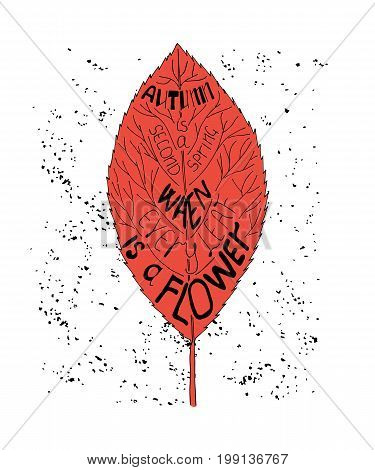 Autumn is a second spring when every leaf is a flower. Unique quote lettering. Vector stock illustration with hand drawn saying for season greeting card housewarming poster and motivational banner.