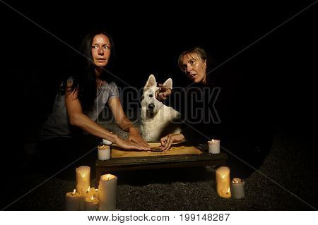 Woman spiritualists communicating with ghosts through spiritual board. Dog watching