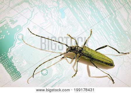 Concept bugs cyberthreatment - longhorn beetle on a computer circuit board stylized with a background with copy space for your text.