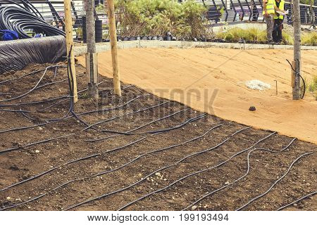 Subsurface Drip Irrigation For Plants