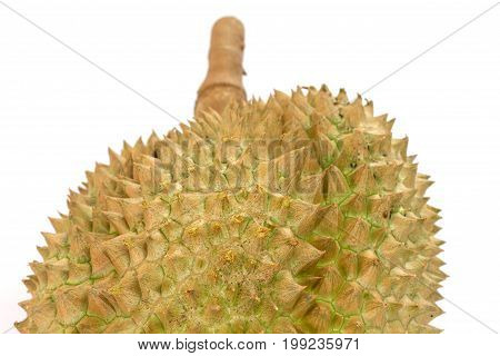 Mon Thong Durian Fruit On White Background