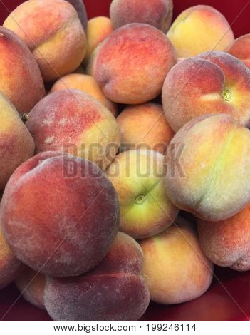 Close up of ripened peaches in a red bowl. Yellow orange and red colored peaches.