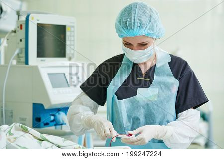 Neonatal Resuscitation. Doctor doing intensive therapy to newborn baby