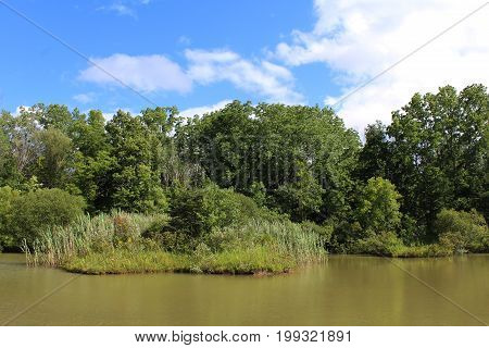 Secluded pond with blue sky and high water