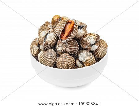 Cardiidae shellfish seafood in white bowl isolated on white background