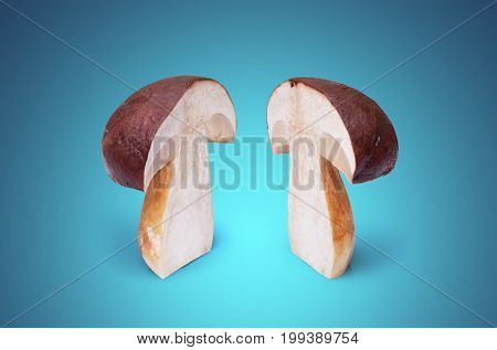 Two White Mushrooms Cut In Half