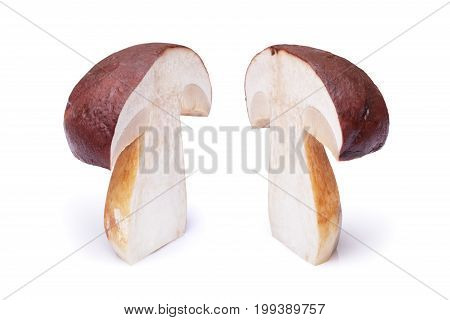 Two White Mushrooms Cut In Half
