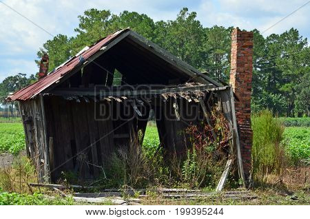 LAKELAND, GA - August 12, 2017 A few walls, roof, and old brick chimney of an early 20th century sharecropper's house can be seen along Highway 37.