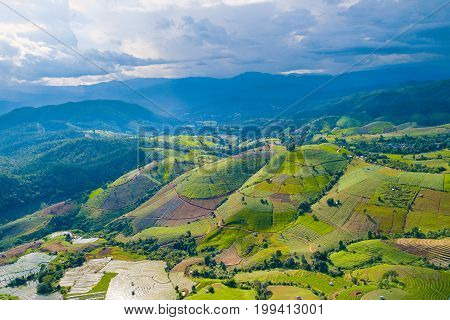 Aerial top view photo from flying drone of green rice fields in countryside Land with grown plants of paddy and sea of fog at Pa Pong Piang Thailand.