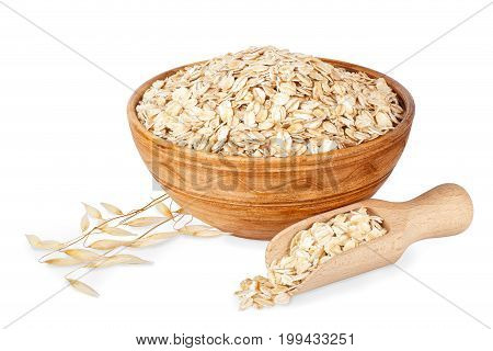 oat flakes in bowl and ripe oat ears isolated on white background with clipping path. Uncooked oatmeal