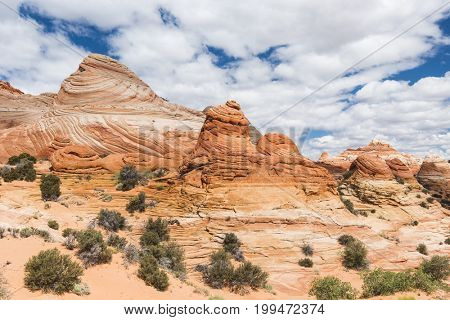 Vivid sandstone formation in Coyote Buttes North. These formations could be seen in Paria Canyon-Vermilion Cliffs Wilderness between the towns of Kanab, Utah and Page, Arizona. USA